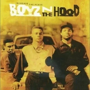 Boyz N the Hood DVD Top-quality Free UK shipping