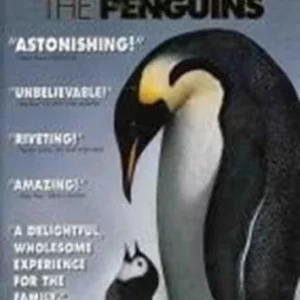 March of the Penguins Morgan Freeman DVD Top-quality Free UK shipping