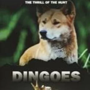 Killer Instinct - Dingoes Rob Bredl 2005 DVD Top-quality Free UK shipping