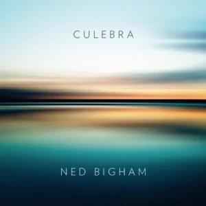 Ned Bigham: Culebra Polish National Radio Symphony Orchestra 2014 CD Top-quality