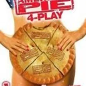 American Pie 1-4 Box Set Jason Biggs 2005 DVD Top-quality Free UK shipping