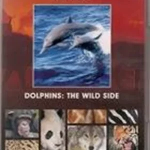 National Geographic - Dolphins: The Wild Side 2004 New DVD Top-quality