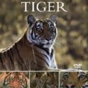 Wildlife Specials: Tiger 2004 DVD Top-quality Free UK shipping