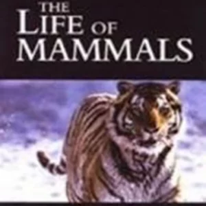 Life of Mammals 2003 DVD Top-quality Free UK shipping