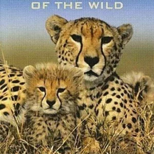 Babies Of The Wild 2005 New DVD Top-quality Free UK shipping