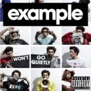 Won't Go Quietly Example 2010 CD Top-quality Free UK shipping