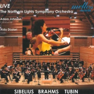 Sibelius / Brahms / Tubin Dizdari,A. CD Top-quality Free UK shipping