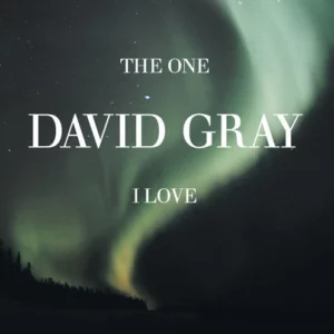 The One I Love Gray David 2005 CD Top-quality Free UK shipping