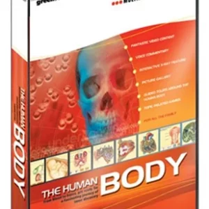 Human Body Windows XP 2002 New Top-quality Free UK shipping