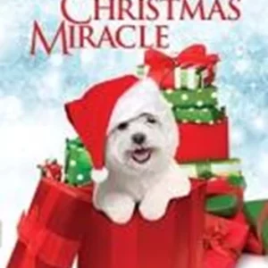 A Dog's Christmas Miracle Cynthia Gibb 2011 DVD Top-quality Free UK shipping