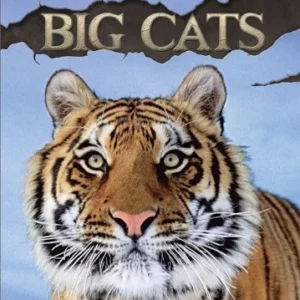 Animal Planet: Big Cats 2010 DVD Top-quality Free UK shipping