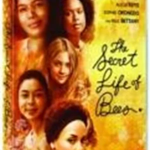 The Secret Life of Bees Queen Latifah 2009 DVD Top-quality Free UK shipping