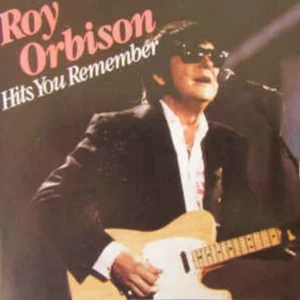 Hits You Remember Orbison Roy 1995 CD Top-quality Free UK shipping