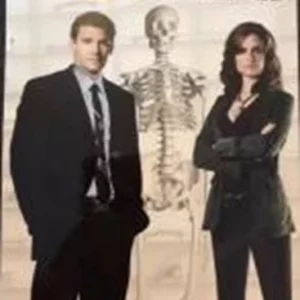 Bones - Season 1 David Boreanaz 2006 DVD Top-quality Free UK shipping