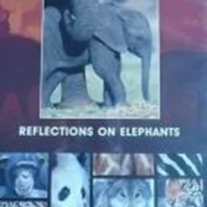 Reflections On Elephants 2004 New DVD Top-quality Free UK shipping