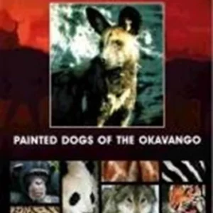 Painted dogs of the Okavango (national geographic) 1986 New DVD Top-quality