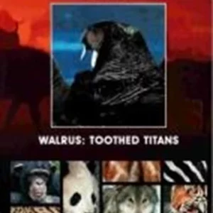 Walrus: Toothed Titans 1986 New DVD Top-quality Free UK shipping