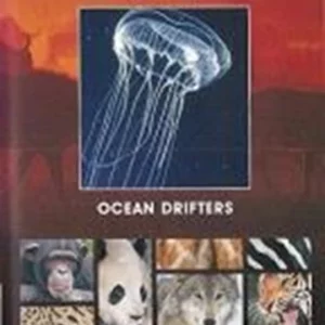 National Geographic Ocean Drifters [DVD] Keith David 1993 New DVD Top-quality