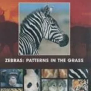 National Geographic - Zebras Patterns in The Grass 2004 DVD Top-quality