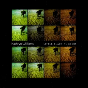 Little Black Numbers Kathryn Williams 2001 CD Top-quality Free UK shipping