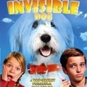 Invisible Dog David DeLuise 2015 DVD Top-quality Free UK shipping