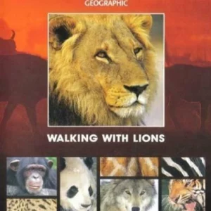 Walking With Lions 1985 DVD Top-quality Free UK shipping