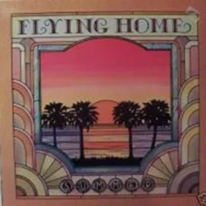 Summer Flying Home Various 1979 Records Top-quality Free UK shipping