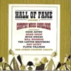 Hall of Fame Vol 1 Various 1999 CD Top-quality Free UK shipping