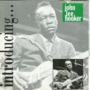 Introducing... John Lee Hooker 1991 CD Top-quality Free UK shipping