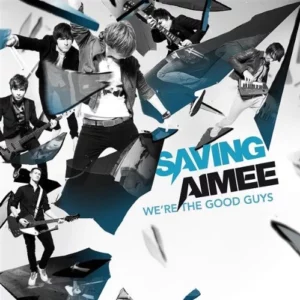 We're the Good Guys Saving Aimee 2009 CD Top-quality Free UK shipping