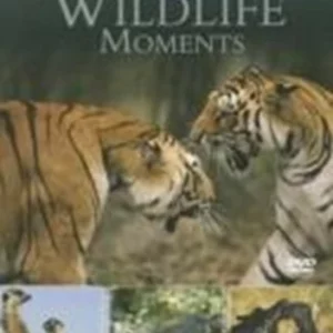 Great Wildlife Moments Introduced by David Attenborough 2003 DVD Top-quality