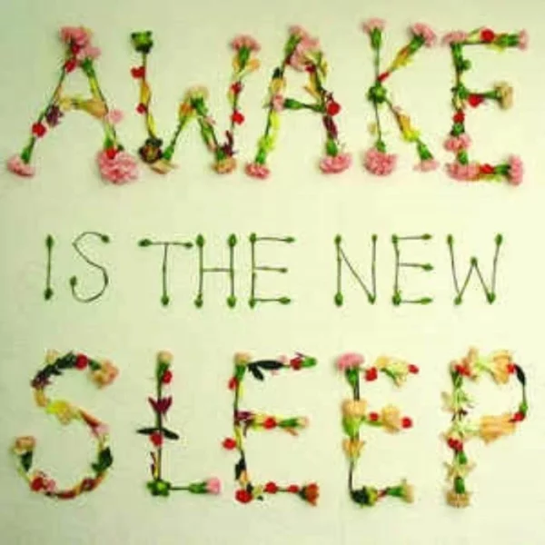 Awake Is the New Sleep Ben Lee 2005 CD Top-quality Free UK shipping