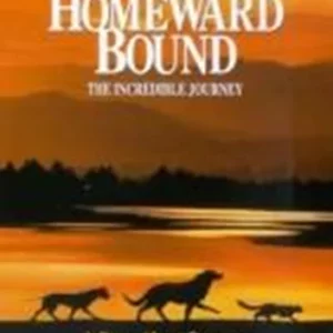 Homeward Bound: The Incredible Journey Michael J. Fox 2001 DVD Top-quality