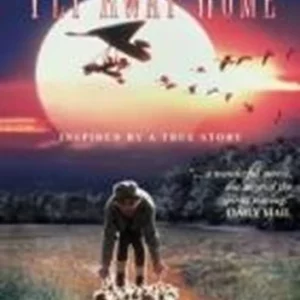 Fly Away Home Jeff Daniels 2006 DVD Top-quality Free UK shipping