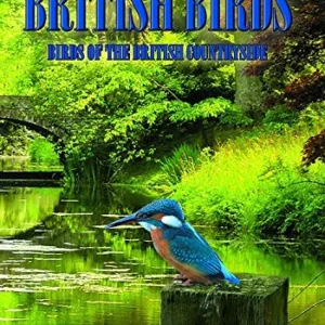 British Birds: Volume 1 - Country Birds 2012 DVD Top-quality Free UK shipping