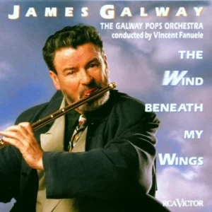 The Wind Beneath My Wings Galway, James 2003 CD Top-quality Free UK shipping