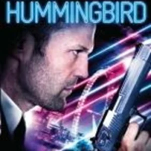 Hummingbird Jason Statham/Agata Buzek 2013 DVD Top-quality Free UK shipping