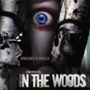 In the Woods D.J. Perry 2007 DVD Top-quality Free UK shipping