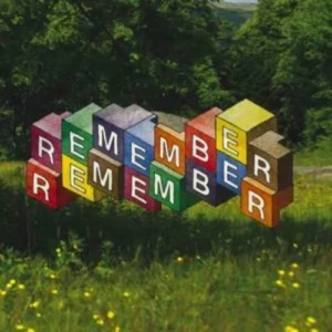 Remember Remember Remember Remember 2008 CD Top-quality Free UK shipping