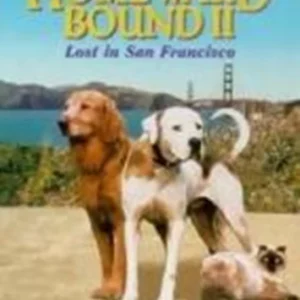 Homeward Bound 2: Lost in San Francisco Michael J. Fox 2001 DVD Top-quality