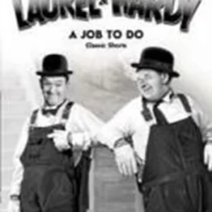 Laurel & Hardy Volume 14 - A Job To Do - 2004 DVD Top-quality Free UK shipping