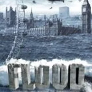 Flood Tom Hardy 2007 DVD Top-quality Free UK shipping