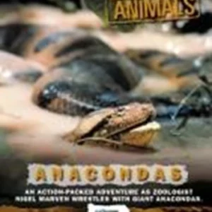 World's Most Dangerous Animals - Anaconda 2005 DVD Top-quality Free UK shipping