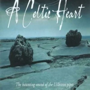 A Celtic Heart Martin, Neil 2004 CD Top-quality Free UK shipping