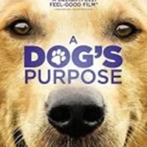 A Dog's Purpose Dennis Quaid 2017 DVD Top-quality Free UK shipping