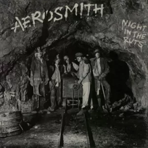 Night In The Ruts Aerosmith 1979 Records Top-quality Free UK shipping