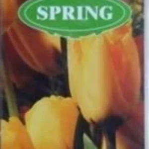 The Four Seasons - Spring New DVD Top-quality Free UK shipping