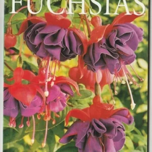 Fuchsias Top-quality Free UK shipping