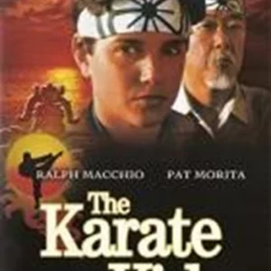 The Karate Kid Ralph Macchio 2005 DVD Top-quality Free UK shipping