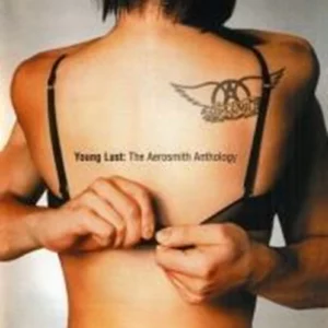 Young Lust Aerosmith 2001 CD Top-quality Free UK shipping